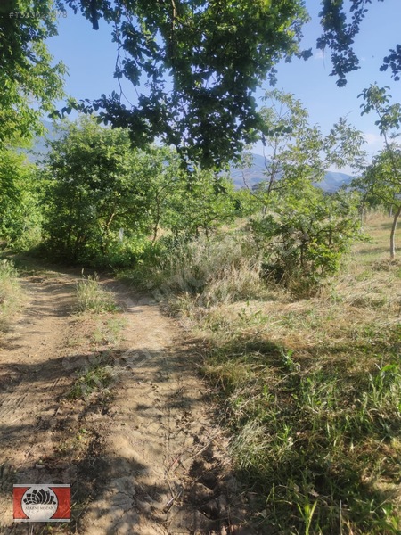 Bursa Orhangazi Gedelek'de 2.850 M² Satılık Yatırımlık Tarla — fotoğraf 10