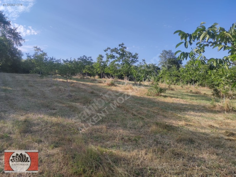 Bursa Orhangazi Gedelek'de 2.850 M² Satılık Yatırımlık Tarla — fotoğraf 11