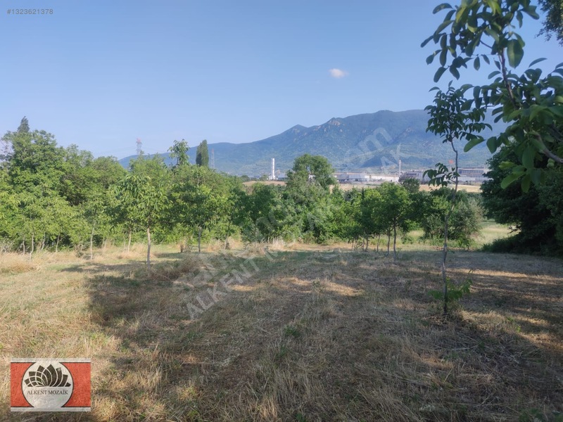 Bursa Orhangazi Gedelek'de 2.850 M² Satılık Yatırımlık Tarla — fotoğraf 12