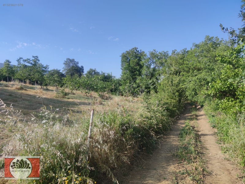 Bursa Orhangazi Gedelek'de 2.850 M² Satılık Yatırımlık Tarla — fotoğraf 13