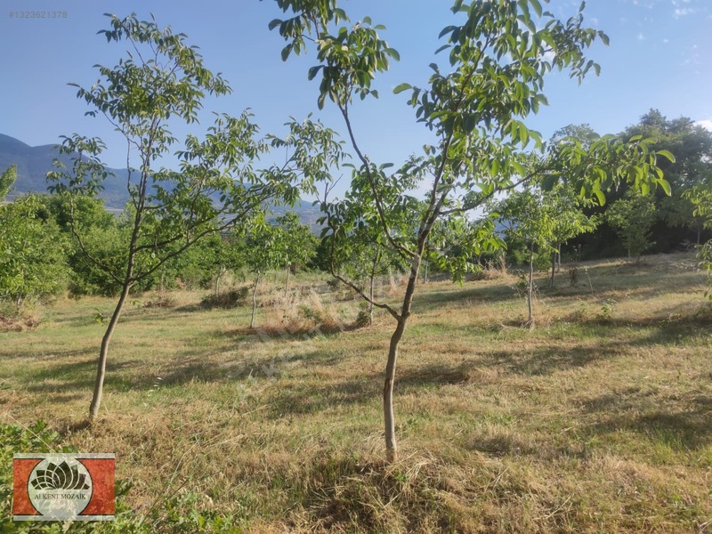 Bursa Orhangazi Gedelek'de 2.850 M² Satılık Yatırımlık Tarla — fotoğraf 14