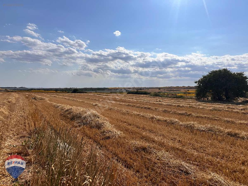 Kapaklı Karaağaç Ta Yatırıma Uygun Sanayı Imarlı Arsa — fotoğraf 6