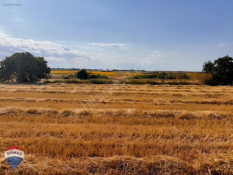 Kapaklı Karaağaç Ta Yatırıma Uygun Sanayı Imarlı Arsa — fotoğraf 7