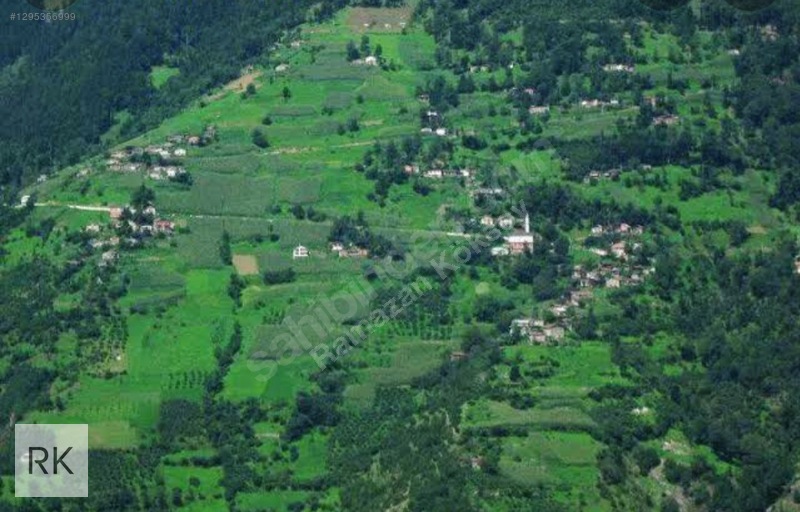 Trabzon Araklı Çankaya Mah. Muhteşem Manzaralı İmarlı Arsa — fotoğraf 3