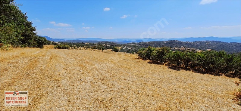 Taraklı Kemallerde 2.178 M2 Kaçırılmayacak Yatırımlık Kupon Arsa — fotoğraf 2