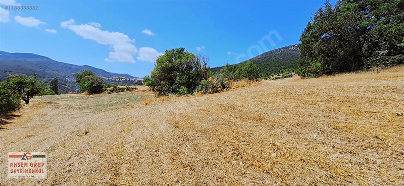 Taraklı Kemallerde 2.178 M2 Kaçırılmayacak Yatırımlık Kupon Arsa — fotoğraf 3