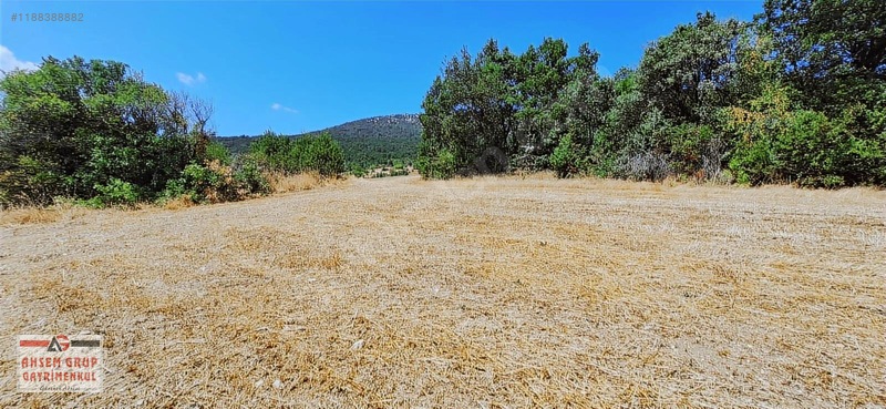 Taraklı Kemallerde 2.178 M2 Kaçırılmayacak Yatırımlık Kupon Arsa — fotoğraf 5