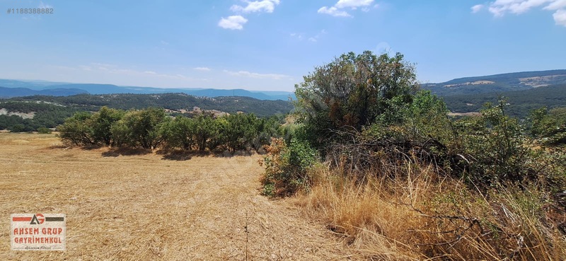 Taraklı Kemallerde 2.178 M2 Kaçırılmayacak Yatırımlık Kupon Arsa — fotoğraf 7