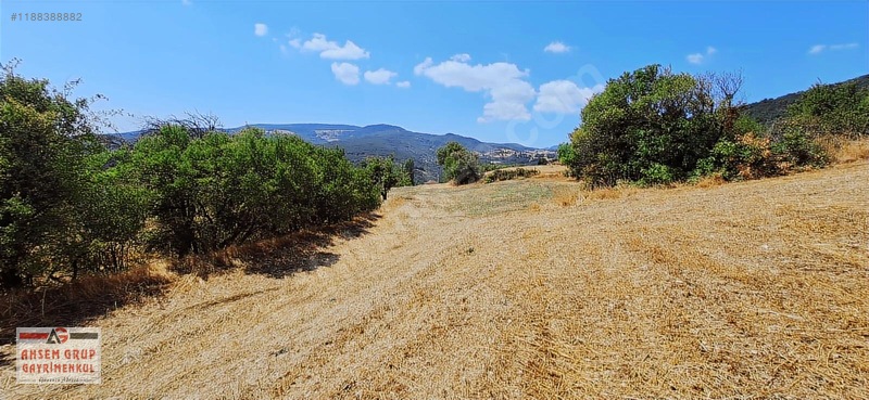 Taraklı Kemallerde 2.178 M2 Kaçırılmayacak Yatırımlık Kupon Arsa — fotoğraf 8