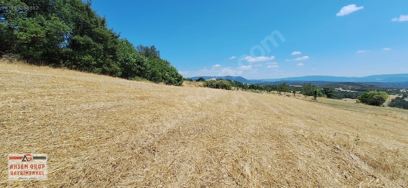 Taraklı Kemallerde 2.178 M2 Kaçırılmayacak Yatırımlık Kupon Arsa — fotoğraf 13