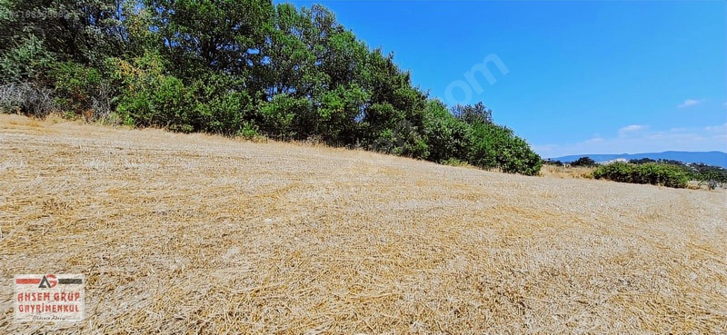 Taraklı Kemallerde 2.178 M2 Kaçırılmayacak Yatırımlık Kupon Arsa — fotoğraf 14