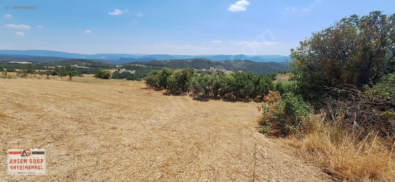 Taraklı Kemallerde 2.178 M2 Kaçırılmayacak Yatırımlık Kupon Arsa — fotoğraf 15