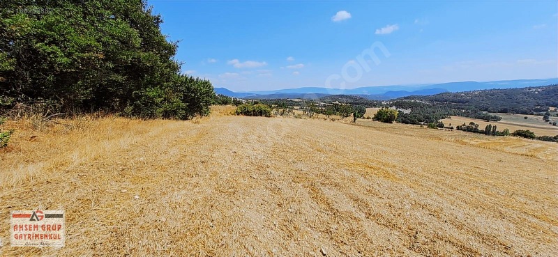 Taraklı Kemallerde 2.178 M2 Kaçırılmayacak Yatırımlık Kupon Arsa — fotoğraf 16
