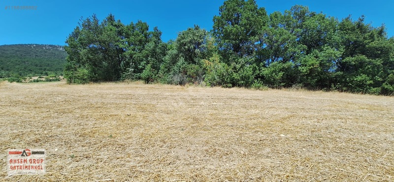 Taraklı Kemallerde 2.178 M2 Kaçırılmayacak Yatırımlık Kupon Arsa — fotoğraf 17