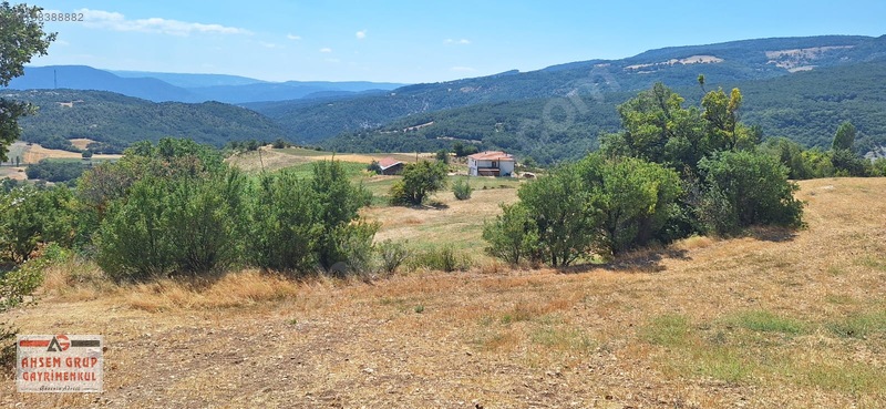 Taraklı Kemallerde 2.178 M2 Kaçırılmayacak Yatırımlık Kupon Arsa — fotoğraf 18