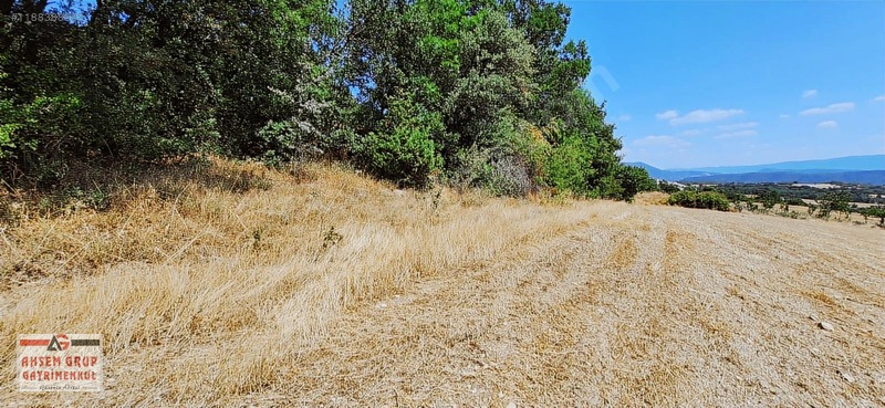 Taraklı Kemallerde 2.178 M2 Kaçırılmayacak Yatırımlık Kupon Arsa — fotoğraf 19