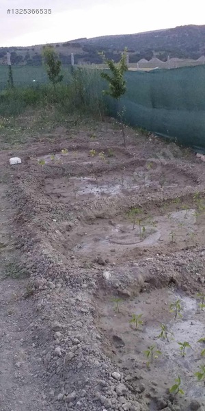 Ayaş Başberekette Harika Konumda Eşyalı Satılık Hobi Bahçesi — fotoğraf 12