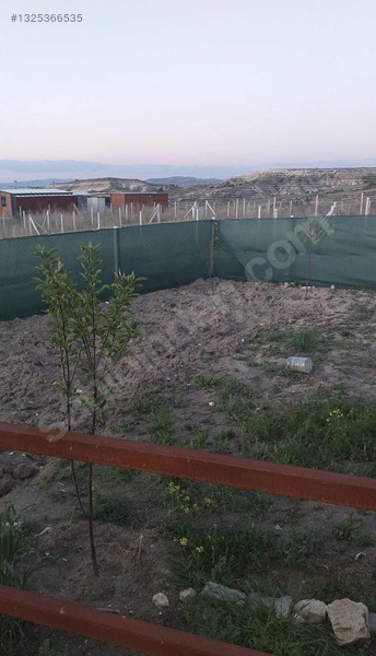 Ayaş Başberekette Harika Konumda Eşyalı Satılık Hobi Bahçesi — fotoğraf 17