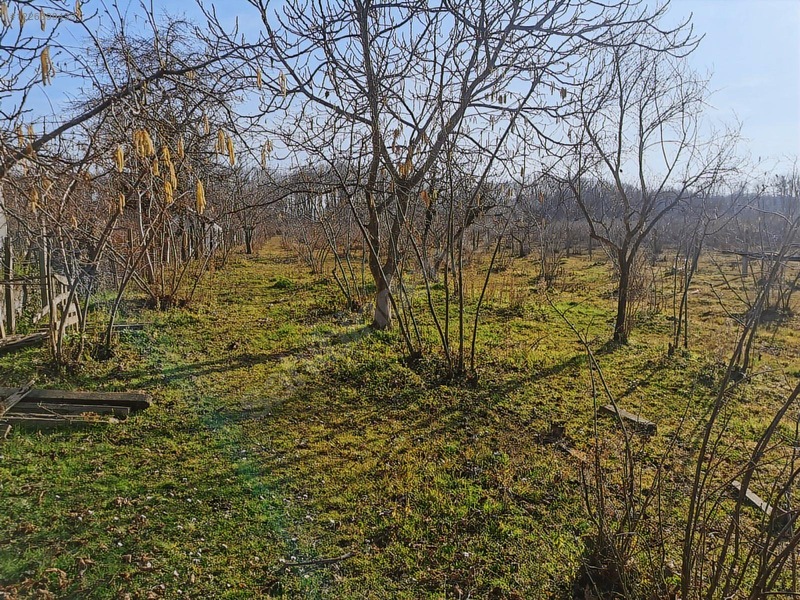 Anıl Gayrimenkul Den Terme Akçay Da Müstakil 4 Dönüm Yer İle Ev — fotoğraf 30