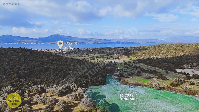 Urla Özbek Akkumda Satılık Tarla — fotoğraf 2