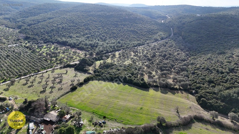Urla Özbek Akkumda Satılık Tarla — fotoğraf 4