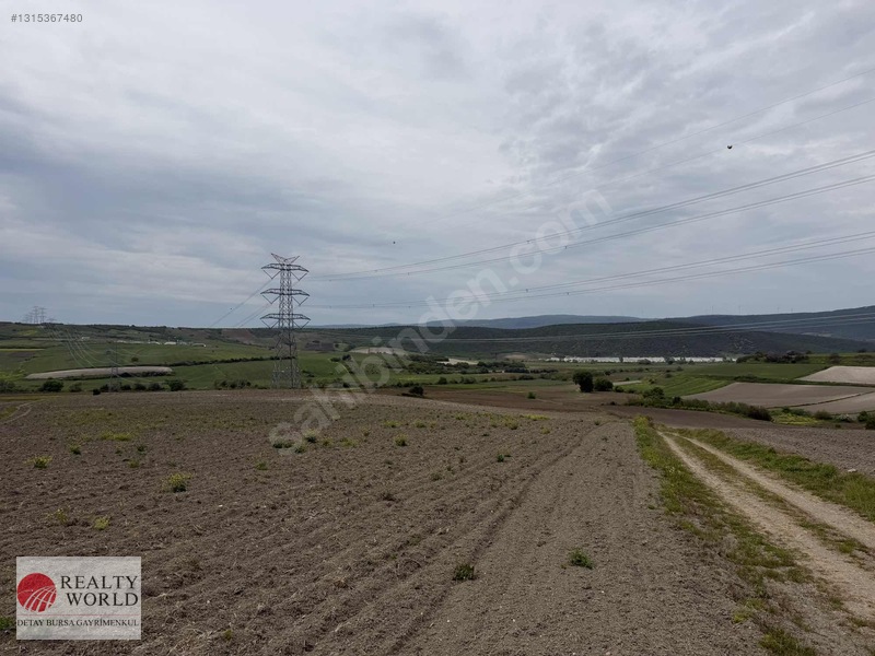 Karacabey Subaşı'nda 6,900m² Tarla Yola Cephe — fotoğraf 2