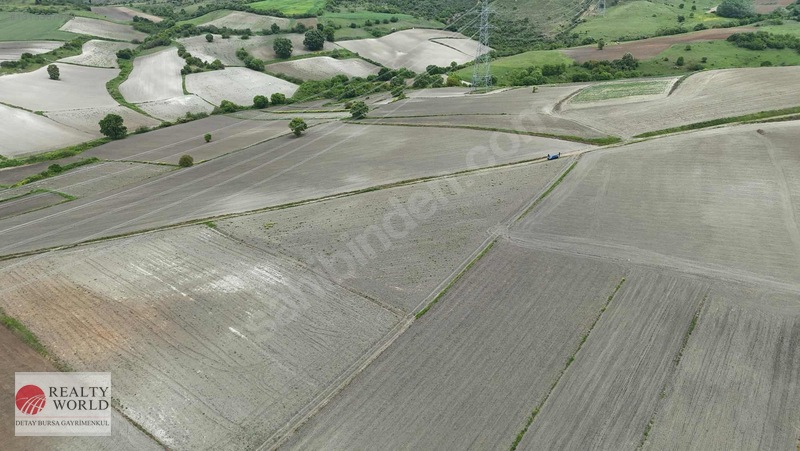 Karacabey Subaşı'nda 6,900m² Tarla Yola Cephe — fotoğraf 5