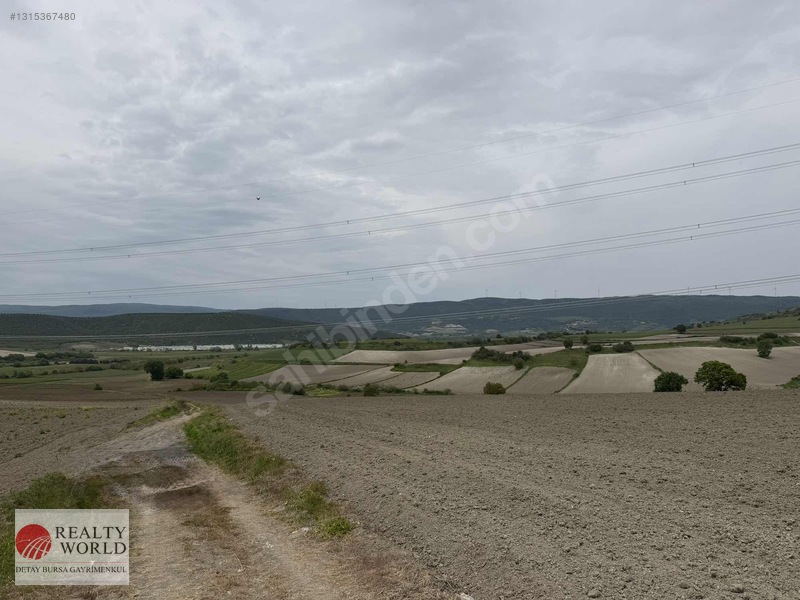 Karacabey Subaşı'nda 6,900m² Tarla Yola Cephe — fotoğraf 11