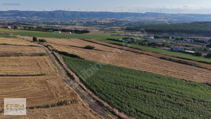 Prm Emlaktan Emsal Fiyatının Altında Çatalca Subaşı Tarla — fotoğraf 29