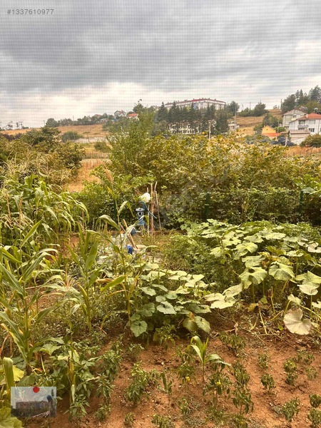 Türkbeyli Mahallesinde Eşyalı/eşyasız Satılık Daire — fotoğraf 5