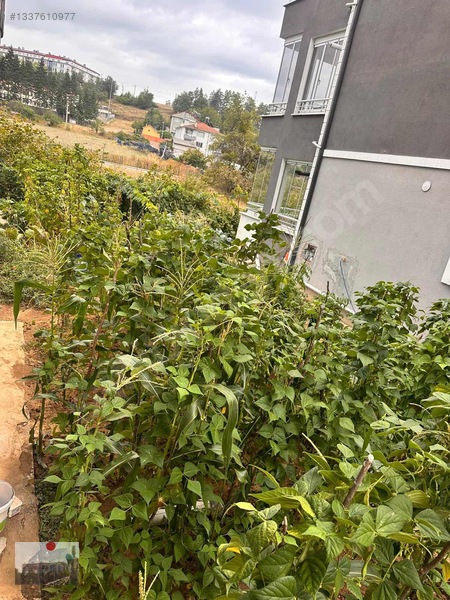 Türkbeyli Mahallesinde Eşyalı/eşyasız Satılık Daire — fotoğraf 12