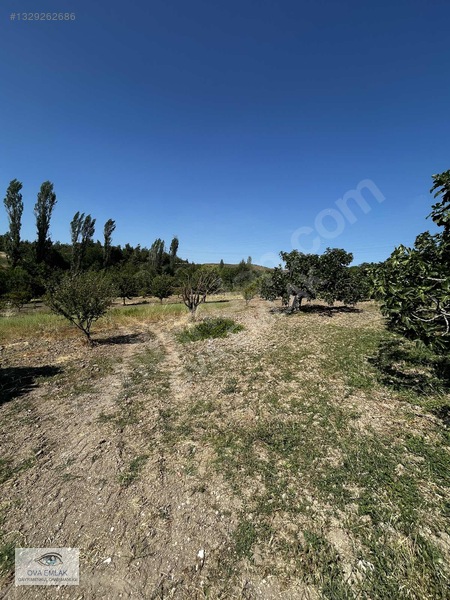 Ova Emlaktan Villa İmarli Arsa — fotoğraf 4