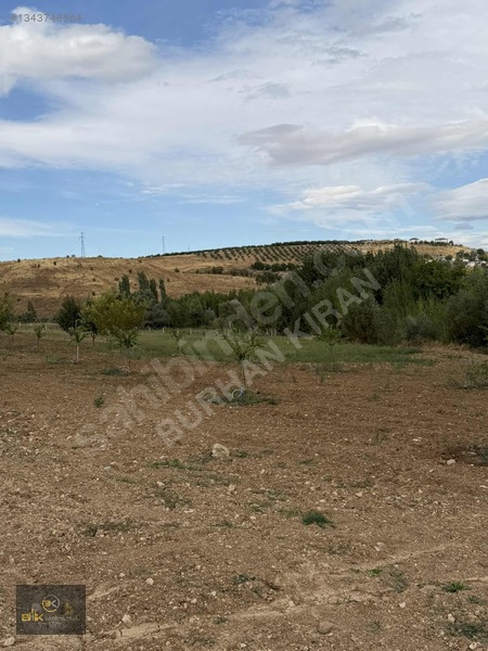 Burhan Kıran'dan Doğanşehir'de Kaçırılmayacak Bahçe — fotoğraf 10