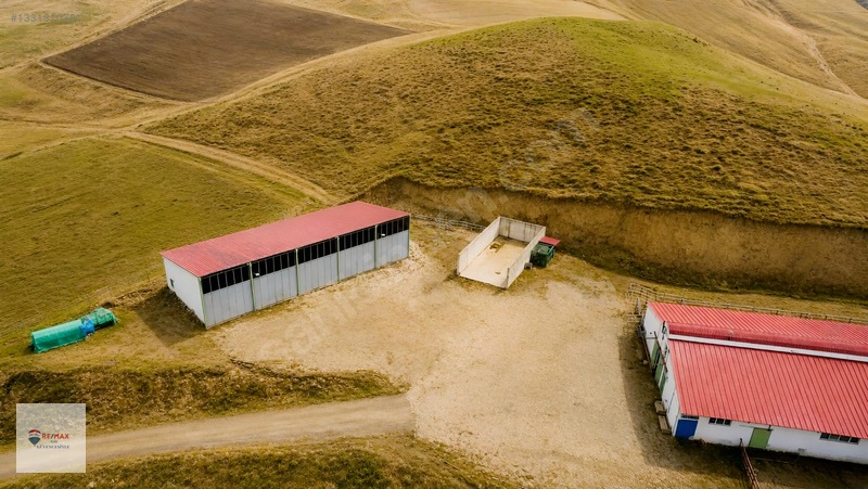 Remax İlke'den Aşkale'de Yatırımlık Tam Donanımlı Besi Çiftliği — fotoğraf 3