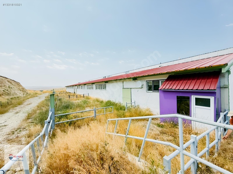 Remax İlke'den Aşkale'de Yatırımlık Tam Donanımlı Besi Çiftliği — fotoğraf 13