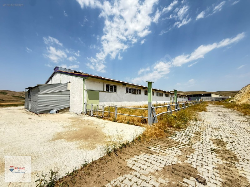 Remax İlke'den Aşkale'de Yatırımlık Tam Donanımlı Besi Çiftliği — fotoğraf 19