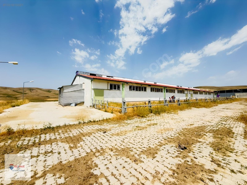 Remax İlke'den Aşkale'de Yatırımlık Tam Donanımlı Besi Çiftliği — fotoğraf 20