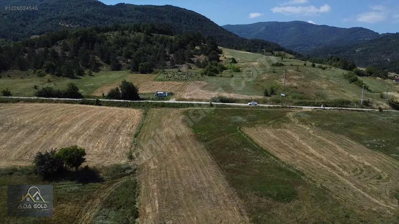 Fındıcakta Tek Tapu Köy Girişinde Fırsat Fiyat — fotoğraf 5