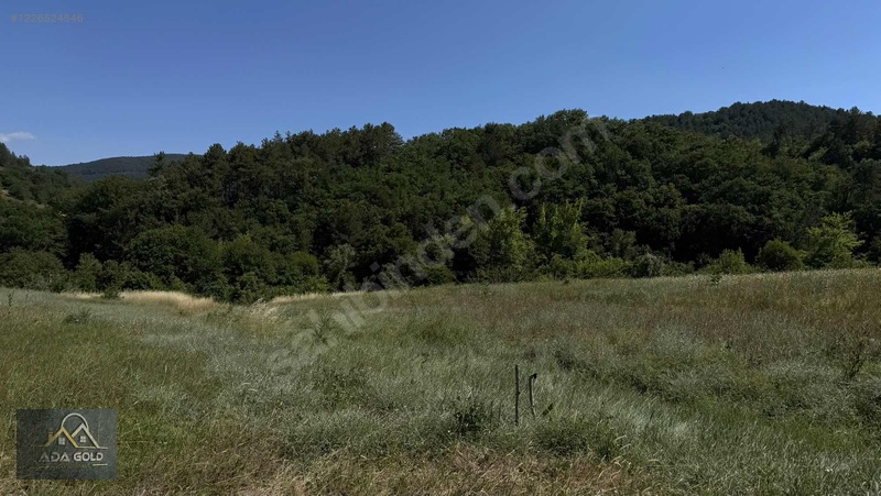 Fındıcakta Tek Tapu Köy Girişinde Fırsat Fiyat — fotoğraf 12
