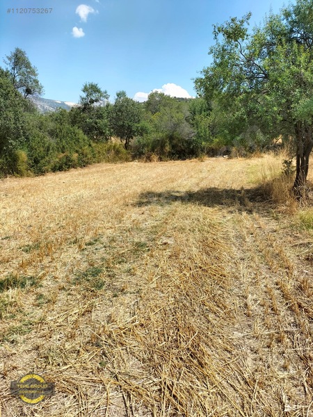 Burdur Yeşilova Büyükyaka'da 475 M2 Tek Tapu Satılık Tarla — fotoğraf 2