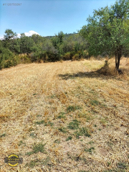 Burdur Yeşilova Büyükyaka'da 475 M2 Tek Tapu Satılık Tarla — fotoğraf 4