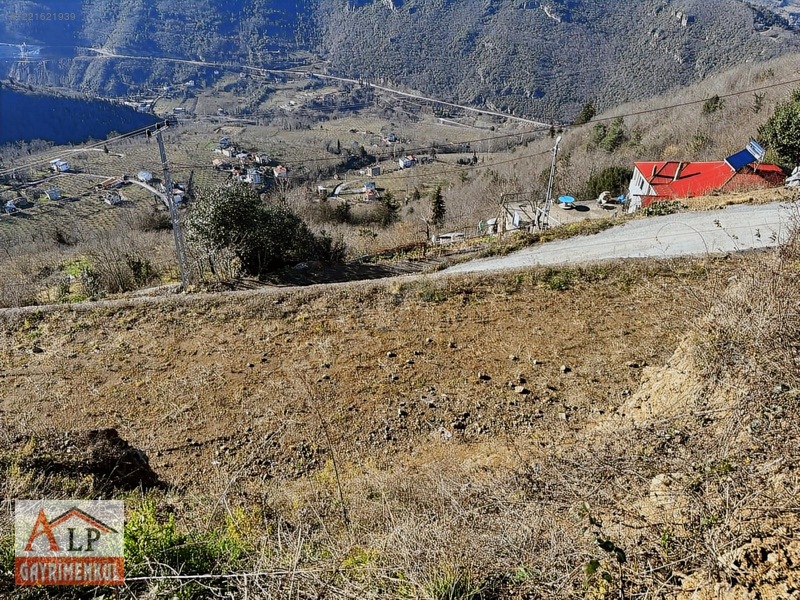 Esiroğlunda Satılık Arazi — fotoğraf 4