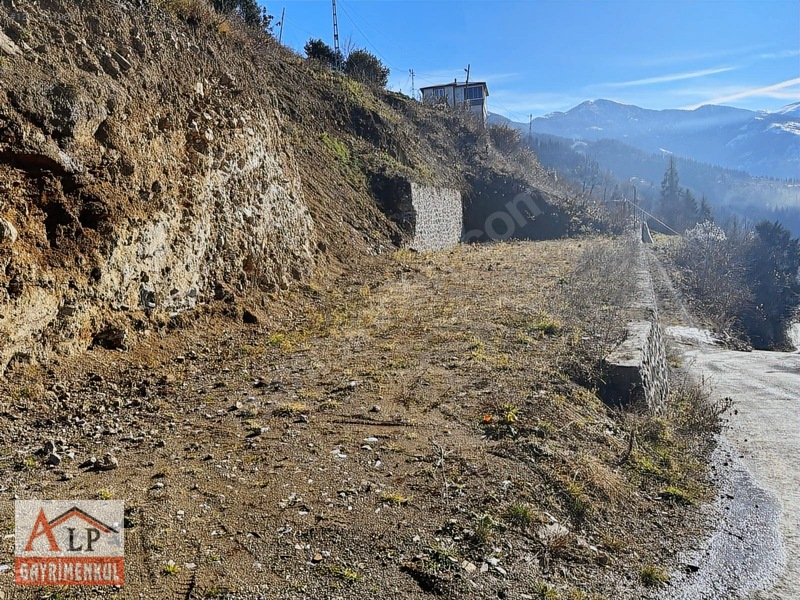 Esiroğlunda Satılık Arazi — fotoğraf 8