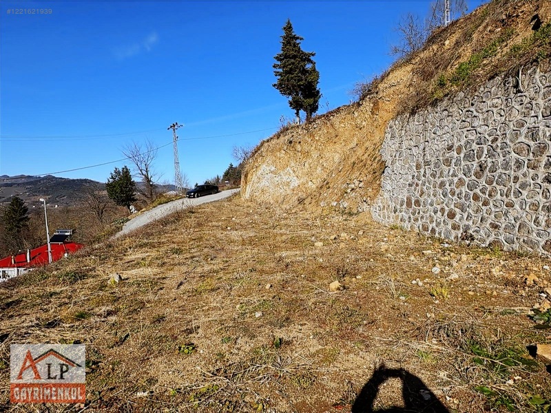 Esiroğlunda Satılık Arazi — fotoğraf 12