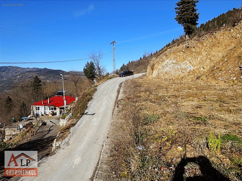 Esiroğlunda Satılık Arazi — fotoğraf 13