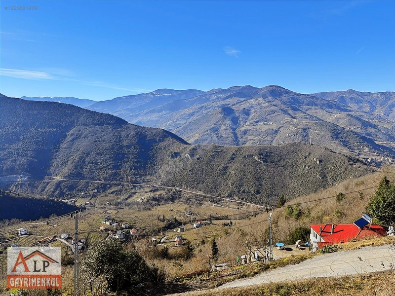 Esiroğlunda Satılık Arazi — fotoğraf 16