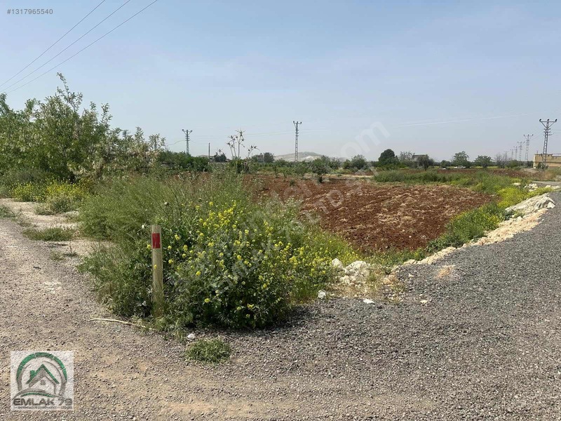 Emlak 79 Dan Gümrük Yolunda Asvalt Üstü 3 Cepheli Villalık Arazi — fotoğraf 6