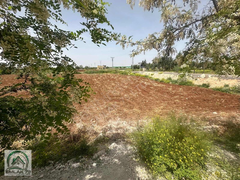 Emlak 79 Dan Gümrük Yolunda Asvalt Üstü 3 Cepheli Villalık Arazi — fotoğraf 8