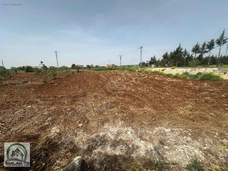 Emlak 79 Dan Gümrük Yolunda Asvalt Üstü 3 Cepheli Villalık Arazi — fotoğraf 9