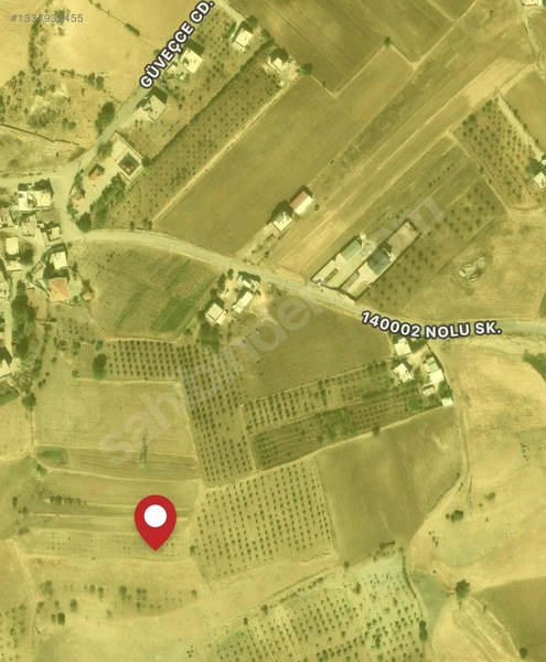 Satılık | Gaziantep Yaylacık Mah. 90 Ağaçlı, 4 Yıl.zeytin
